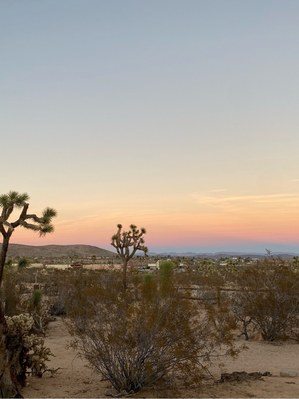 At Home In Joshua Tree Book - Picture 6 of 6